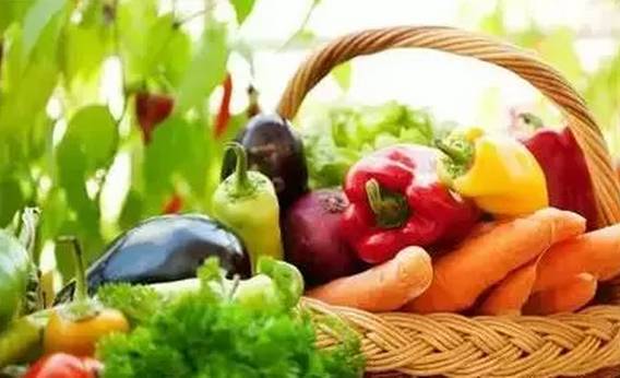 大德农博乐园苗木优惠活动 居游卡用户专享买一赠二