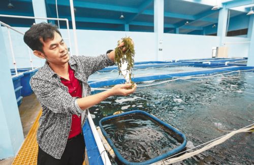 冯家湾 创新水产养殖模式，用地减法、空间加法，产出增六成以上