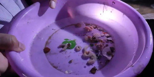 威海市推进水产健康养殖 示范场验收与原良种场考察并举，助力内陆水产养殖销售提质增效