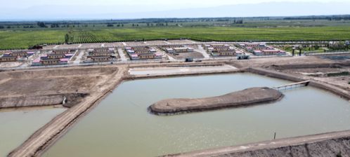 碧水映青山 鱼跃产业兴——内陆水产养殖开辟致富新路径