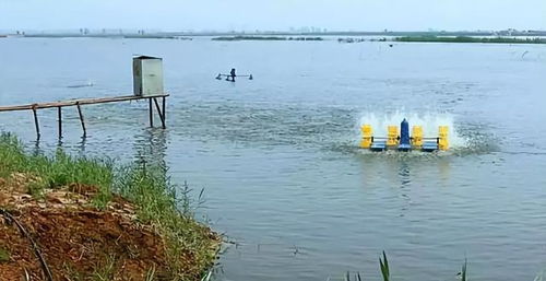 五月水产管理不动真格，年底收益就得承受代价