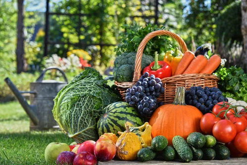 德清农副产品特色美食欢乐购开启，新鲜蔬菜等您来选购