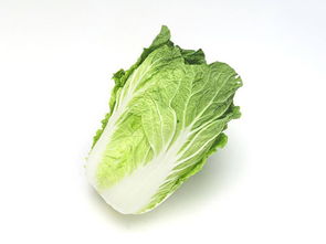 虎门酒店蔬菜配送与内陆水产养殖销售——专业周到的食材供应解决方案