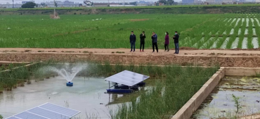 陆良县强化养殖尾水治理，推动内陆水产养殖绿色可持续发展