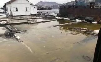 不造谣不传谣，我们用事实说话 内陆水产养殖销售的现状与前景